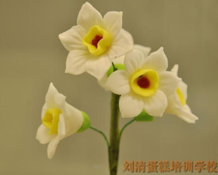 这么美的水仙花你见吗？刘清翻糖蛋糕培训学校学员作品